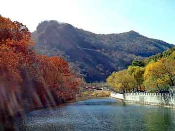 新澳门期期准精准，有鬼住在隔壁